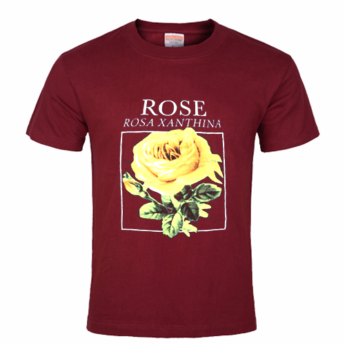 rosa lamour t shirt